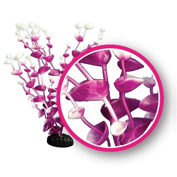 Weco Dream Series Magenta Tulips