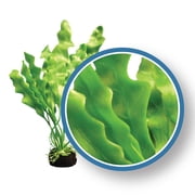 Weco Freshwater Pro Series Amazon Ruffled Sword Premium Plant Weighted Base 9 inch