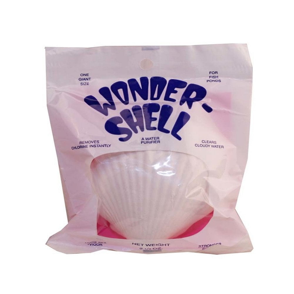 Giant White Natural Mineral Shell Water Purifier