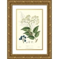 thumbnail image 1 of Weddell 10x14 Gold Ornate Wood Framed with Double Matting Museum Art Print Titled - Woodland Foliage IV, 1 of 4