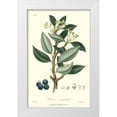 thumbnail image 1 of Weddell 10x14 White Modern Wood Framed Museum Art Print Titled - Woodland Foliage III, 1 of 4