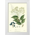 thumbnail image 1 of Weddell 22x32 White Modern Wood Framed Museum Art Print Titled - Woodland Foliage IV, 1 of 4