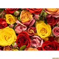 thumbnail image 1 of Wedding Sce Arch Flower Photography Backdrops Props Flora Curtain Valtine's Day rs Theme Photo Studio Background FL-16, 1 of 5