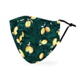 thumbnail image 1 of Weddingstar Adult Reusable, Washable 3 Ply Cloth Face Mask with Filter Pocket - Lemon, 1 of 6