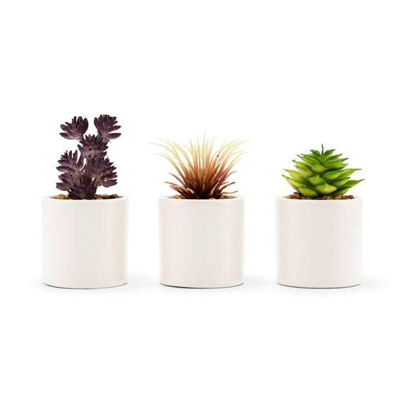 Weddingstar Small Faux Succulent Plants - Set Of 6
