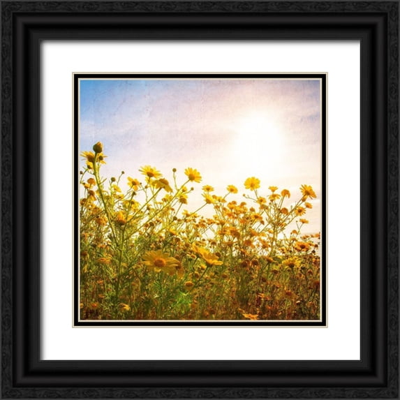 Weddle, Ryan Hartson 20x20 Black Ornate Wood Framed with Double Matting Museum Art Print Titled - Sun Reacher