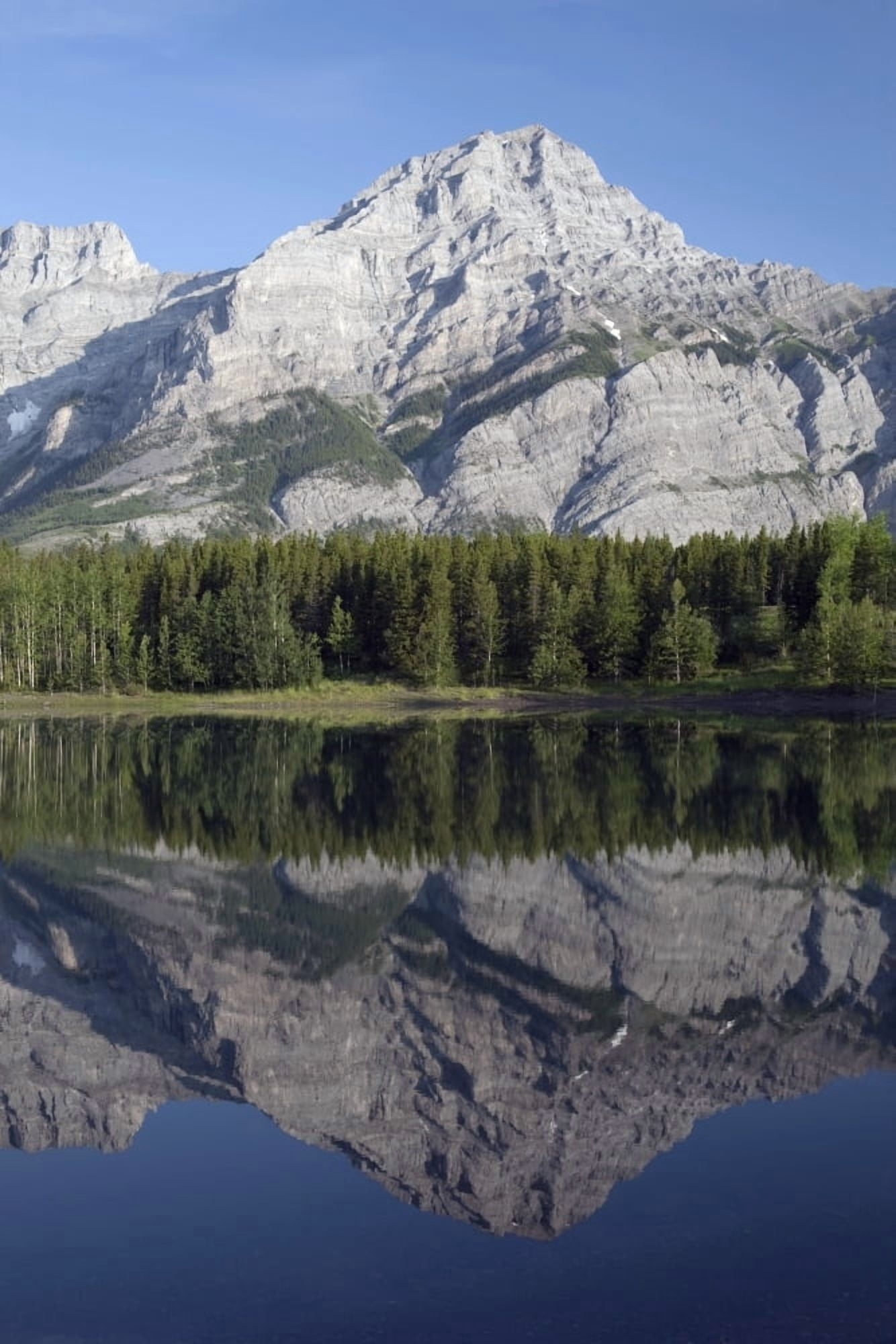Wedge Pond Mount Kidd Kananskis Country Alberta Canada Canvas Art - Michael Interisano Design Pics (24 x 38)