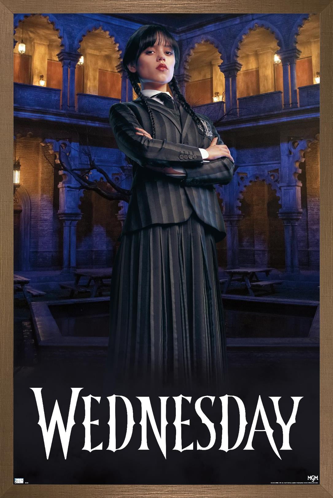 Wednesday Frame Wednesday - Portrait Wall Poster, 14.725