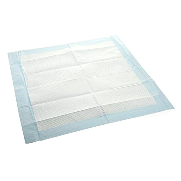 Four Paws Wee Wee Pads for Standard and Little Dogs Super-Absorbent Quick-Drying 5-Ply Leak Proof Floor Armor System 72 Count