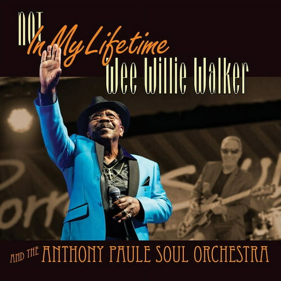 Wee Willie Walker - Not In My Lifetime - Music & Performance - Vinyl