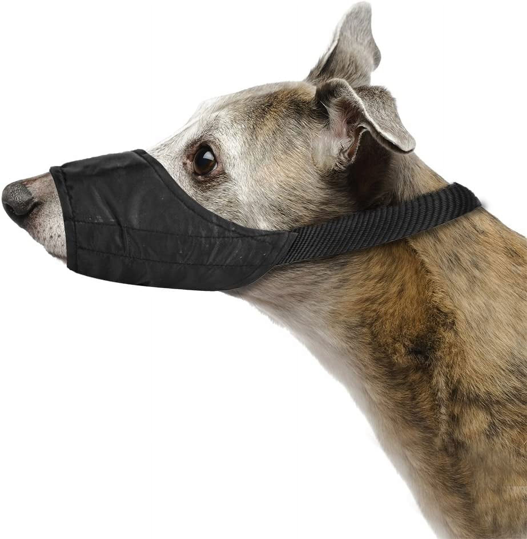 Cat on sale muzzle nylon
