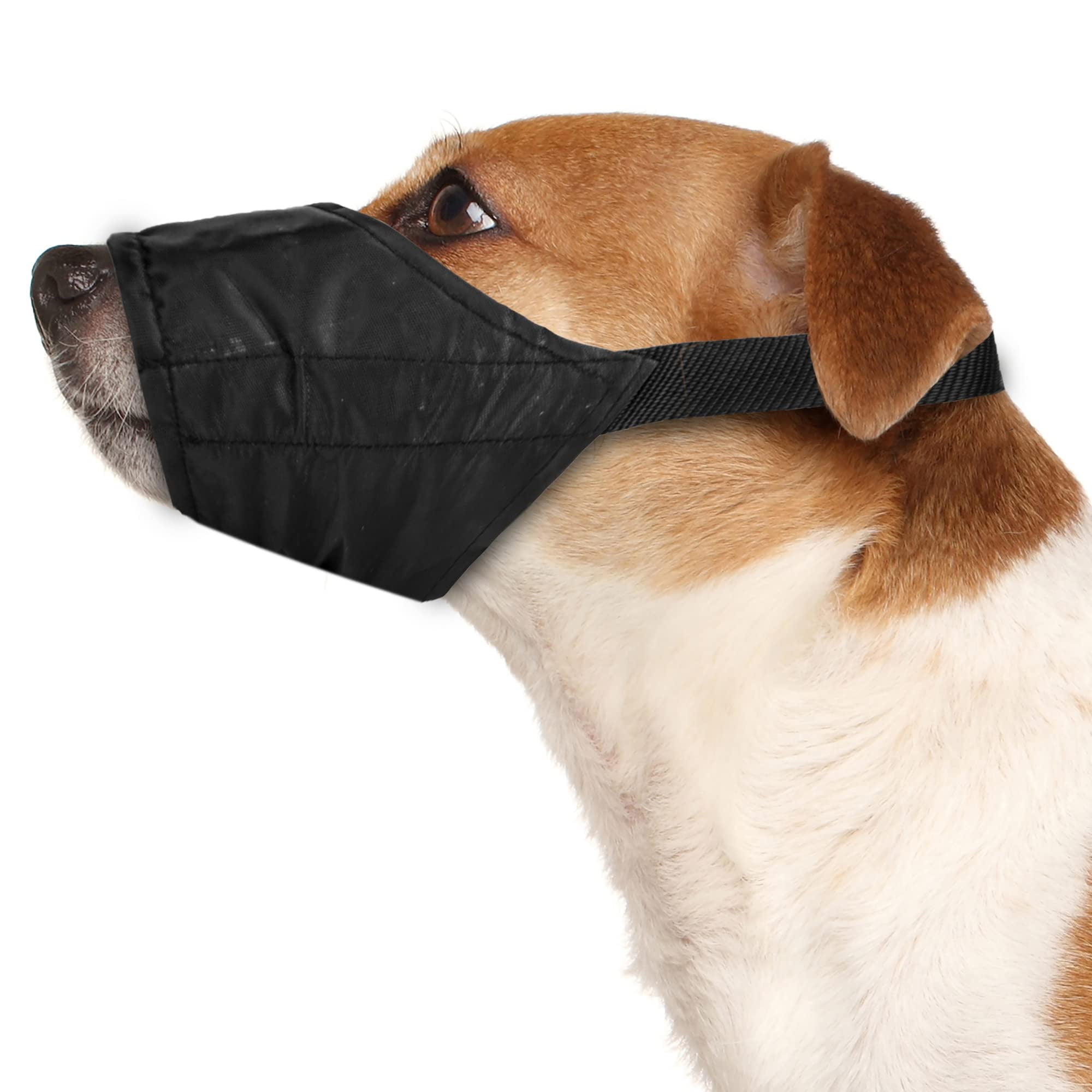 Dog muzzle walmart in store top