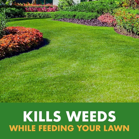 Weed & Feed 20-0-0, 3 Count, Easy to Use QuickFlip Sprayer, Kills Weeds While Feeding Your Lawn, Kills Major Broadleaf Weeds Like Dandelion, Chickweed, Clover and Plantain