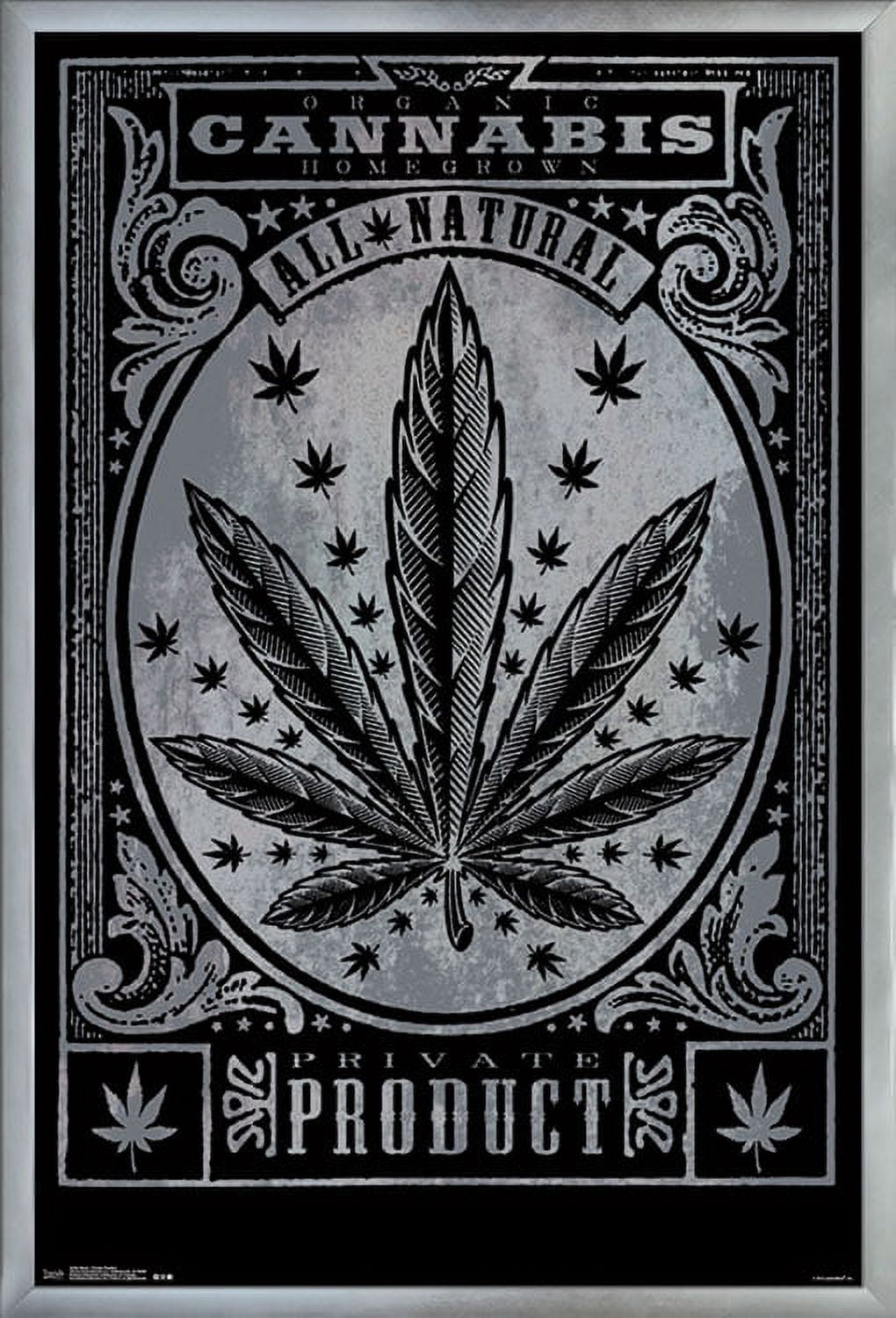Weed - Private Product Wall Poster, 22.375" x 34", Framed
