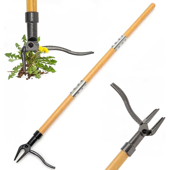Weed Puller Tool, 44" Stand Up Heavy Duty Root Removal Garden Tools with 4 Claw Steel Head, Made with Real Bamboo & Long Wooden Handle - Easily Remove Weeds Without Bending, Kneeling, or Pulling
