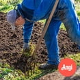 thumbnail image 1 of Weed Removal Service (1.5 Hours), 1 of 3