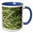 thumbnail image 1 of 3drose, Weeds Growing and Shot up Close in the Wind on Green, 11oz Two-tone Blue Mug, 1 of 6