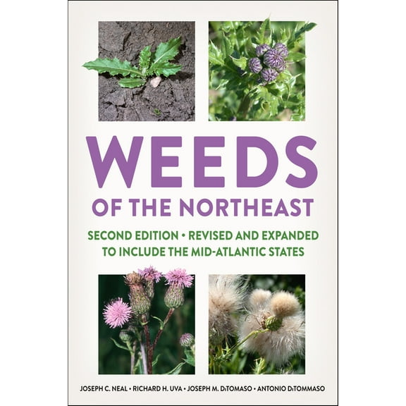 Weeds of the Northeast (Paperback)