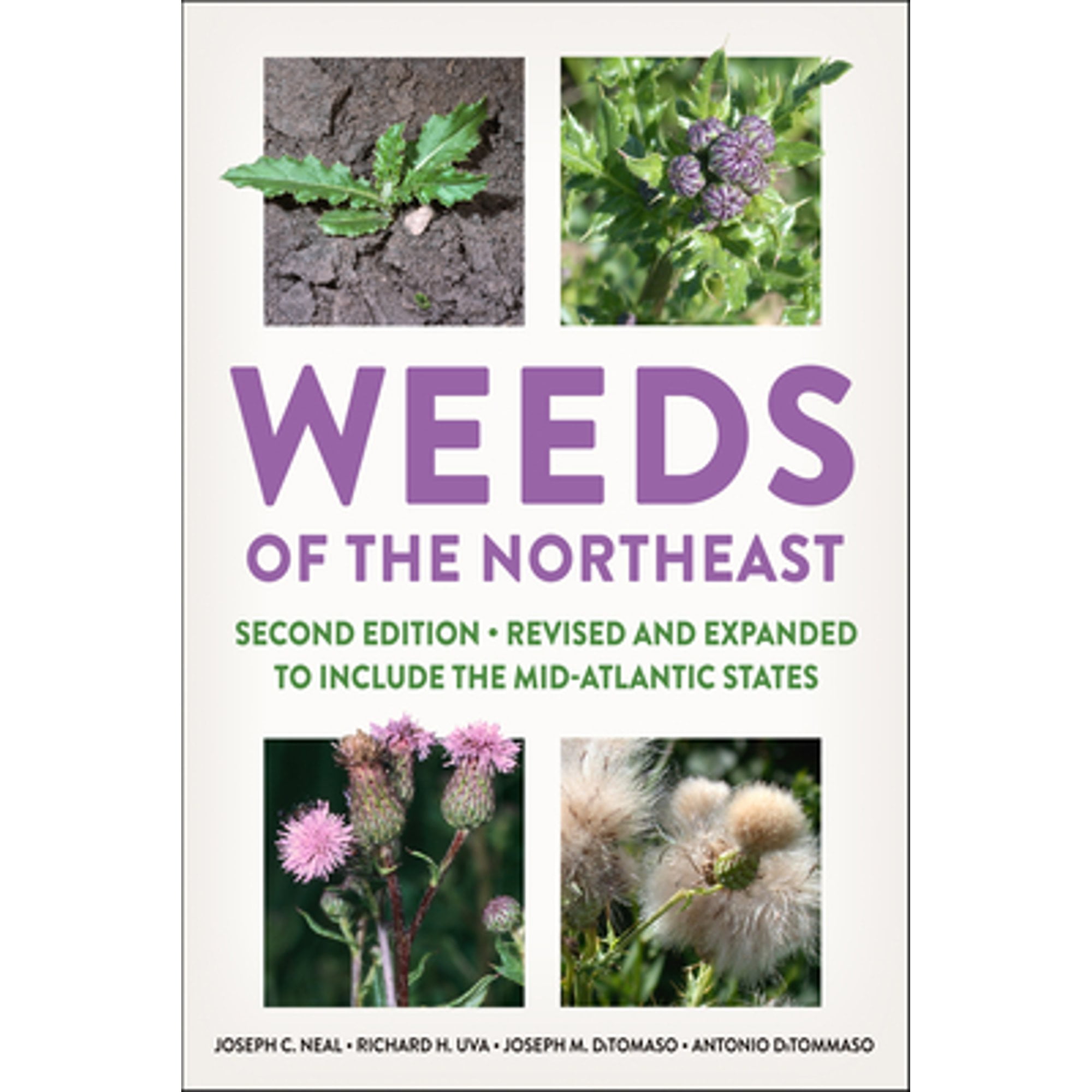 Pre-Owned Weeds of the Northeast (Paperback) 9781501755729