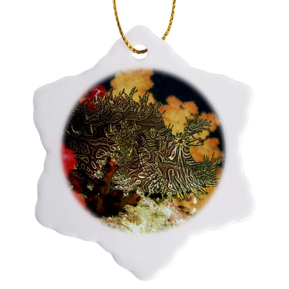 3drose, Weedy Scorpionfish, or Rhinopia Apanes - Na02 Mwt0002 - Michele Westmorland, 3 inch Snowflake Porcelain Ornament