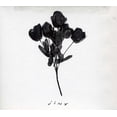 thumbnail image 1 of Weekend - Jinx - Alternative - CD, 1 of 1