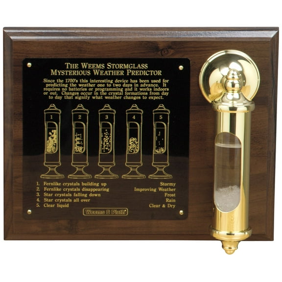 Weems and Plath Stormglass with Display