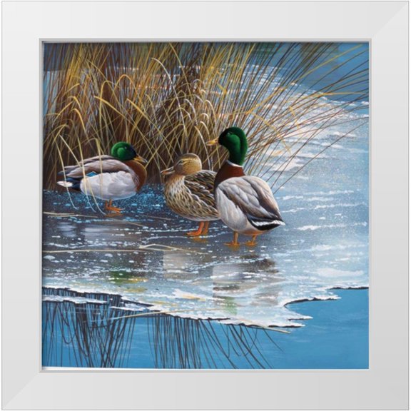 Weenink, Jan 12x12 White Modern Wood Framed Museum Art Print Titled - Three ducks on ice