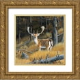 thumbnail image 1 of Weenink, Jan 15x15 Gold Ornate Wood Framed with Double Matting Museum Art Print Titled - Beautiful deer, 1 of 4