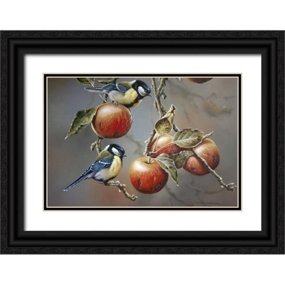 Weenink, Jan 18x14 Black Ornate Wood Framed with Double Matting Museum Art Print Titled - Two birds with apples