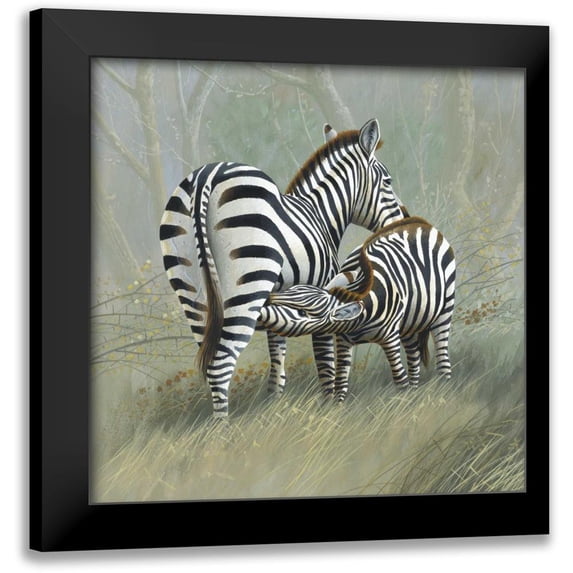 Weenink, Jan 20x20 Black Modern Framed Museum Art Print Titled - Two zebras