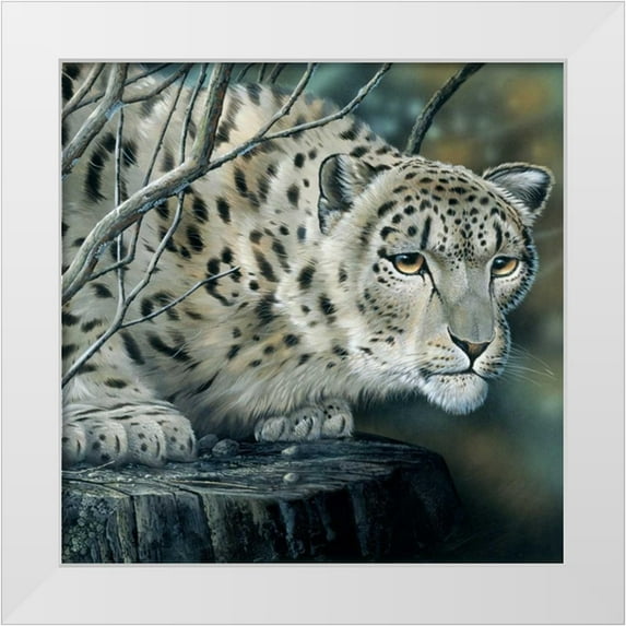 Weenink, Jan 20x20 White Modern Wood Framed Museum Art Print Titled - White tiger