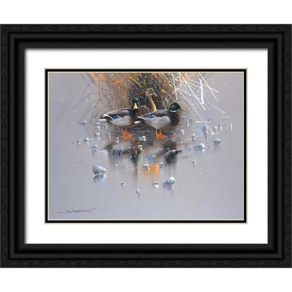 Weenink, Jan 24x19 Black Ornate Wood Framed with Double Matting Museum Art Print Titled - Three ducks