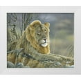 thumbnail image 1 of Weenink, Jan 31x26 White Modern Wood Framed Museum Art Print Titled - Lion, 1 of 4