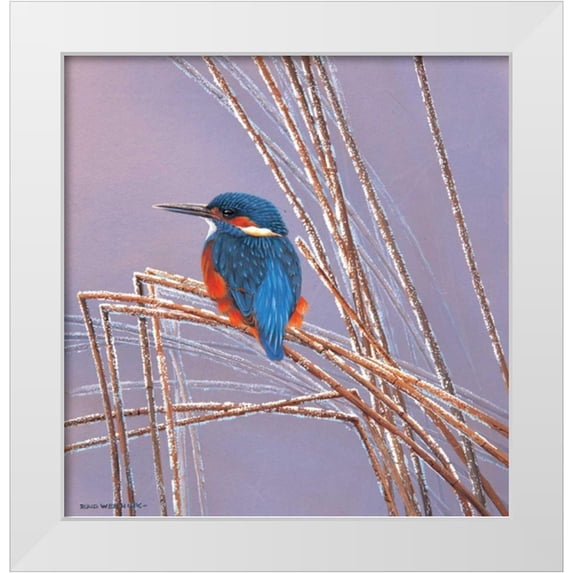 Weenink, Ruud 20x21 White Modern Wood Framed Museum Art Print Titled - Peace