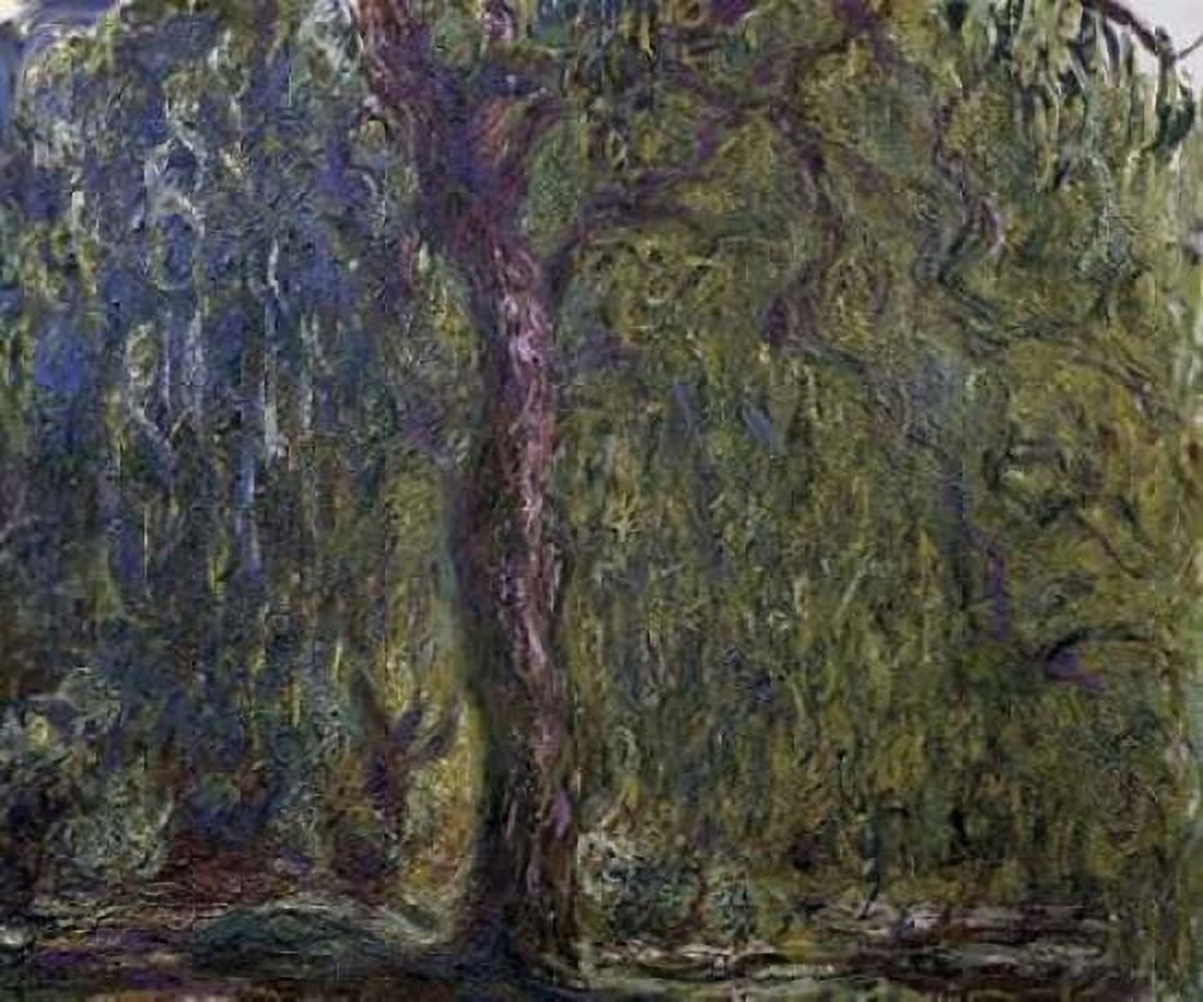Weeping Willow - Saule pleureur Canvas Art - Claude Monet (24 x 24)