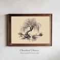 thumbnail image 1 of Weeping Willow Tree Vintage Art Melancholic Riverbank Illustration Antique Ink, Unframed Canvas 8x10in, 1 of 4