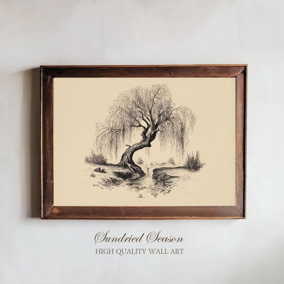 Weeping Willow Tree Vintage Art Melancholic Riverbank Illustration Ink