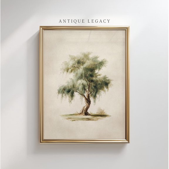 Weeping Willow Tree Wall Art Nature Botanical Illustration 788