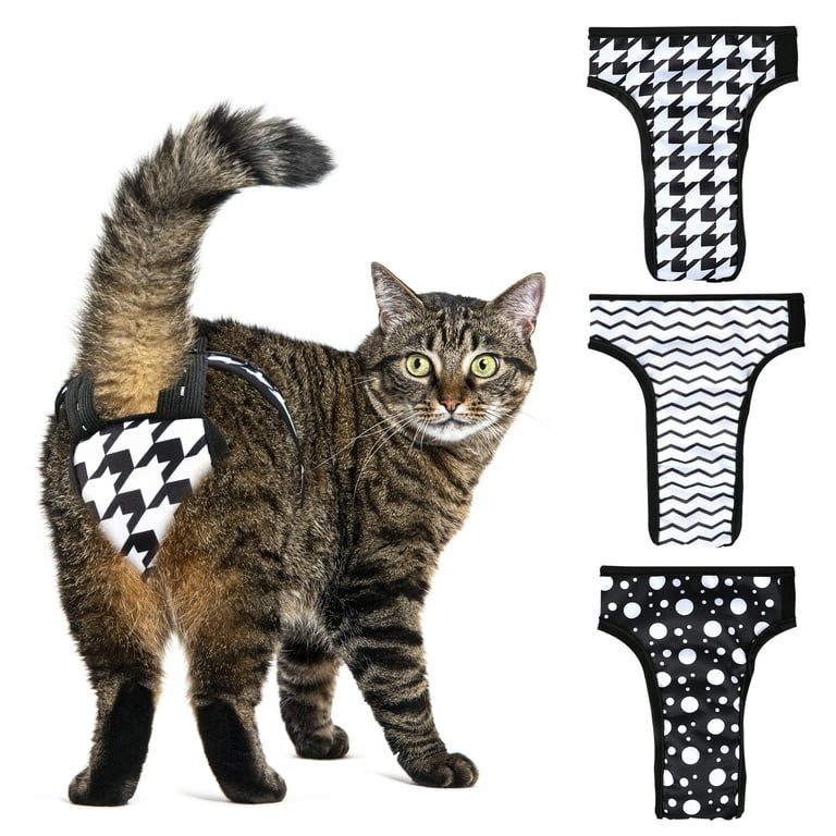 Kitten diapers hotsell
