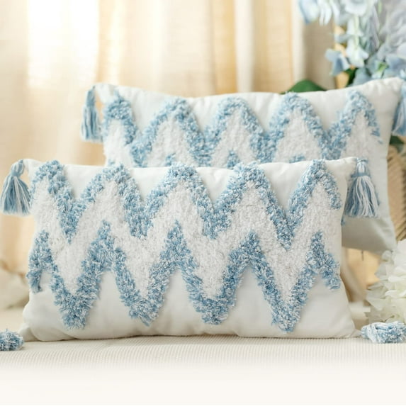 Wehilion Boho Throw Pillow Covers, Tufted Decorative Square Pillowcases Covers with Tassels for Couch Sofa Bed, Living Room Sofa, Farmhouse,Set of 2