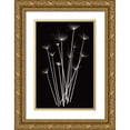 thumbnail image 1 of Wehtje, Jim 11x14 Gold Ornate Wood Framed with Double Matting Museum Art Print Titled - Three Rushes, 1 of 4