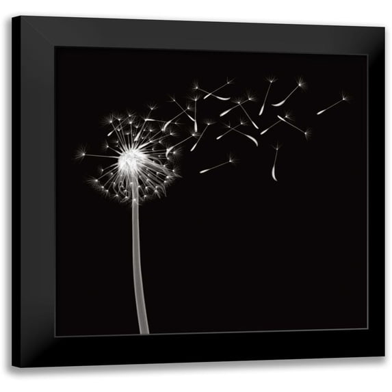 Wehtje, Jim 15x15 Black Modern Framed Museum Art Print Titled - Into the Night II