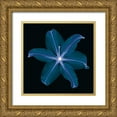 thumbnail image 1 of Wehtje, Jim 15x15 Gold Ornate Wood Framed with Double Matting Museum Art Print Titled - Lily, 1 of 4