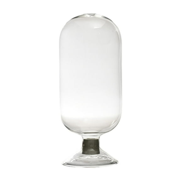 WeiLaiKeQi Clear Glass M Cloche Jar Hold 80 Mes Multiuse Lightweight Decorative M