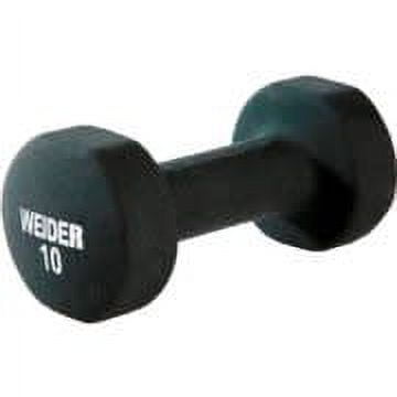 Weider dumbbells big 5 hot sale