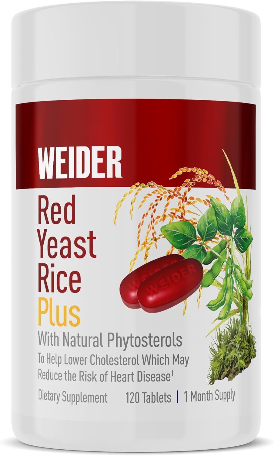 Phytosterols Phytosterols