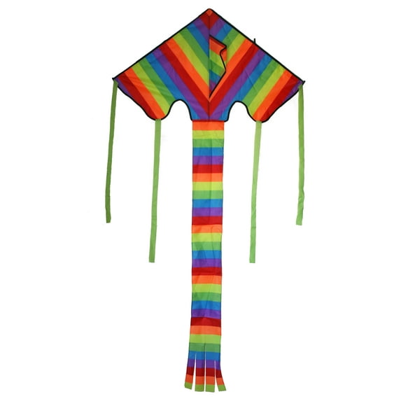 Weifang New Sky Kites Delta 42" X 26" with 62" Rainbow Easy Flyer Includes String and Handle