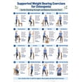 Weight Bearing Exercises Unframed poster Osteopenia Strength Guide ...