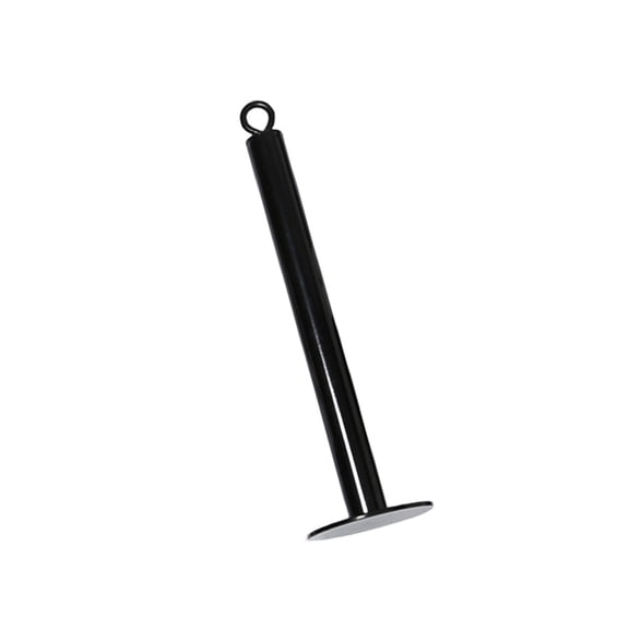 Weight Plate Loading Pin with Carabiner, Weight Lifting Holder Stand, Gym Workout Equipment Dumbbell Barbell Rack Holder
