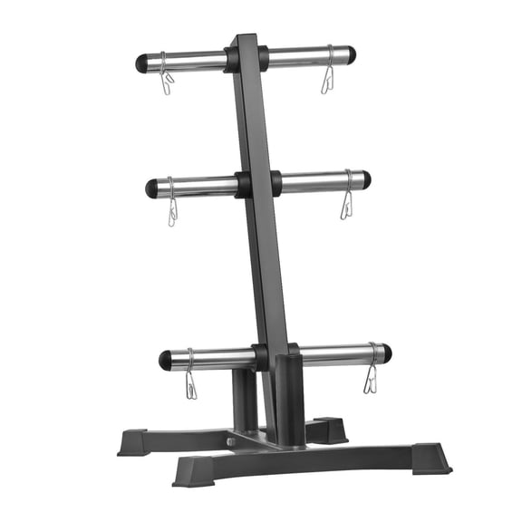 Weight Plate Rack L Frame - 1000lb Capacity - 2 Inch Plate Storage - Home Gym Weight Tree - Standard Weight Plate Holder - Black Fitness Rack
